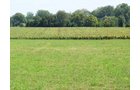 Property photo 4 - 63.5 +/- Acres Offered in 3 Tracts - Real Estate Auction